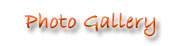 Photo Gallery
